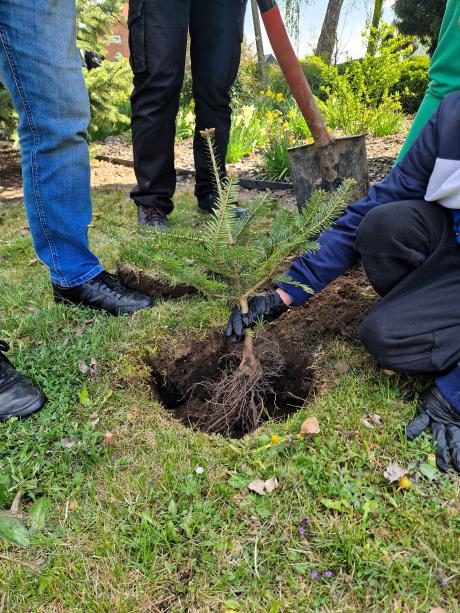 Podsumowanie akcji „Wiosenne sadzenie drzew 2026”